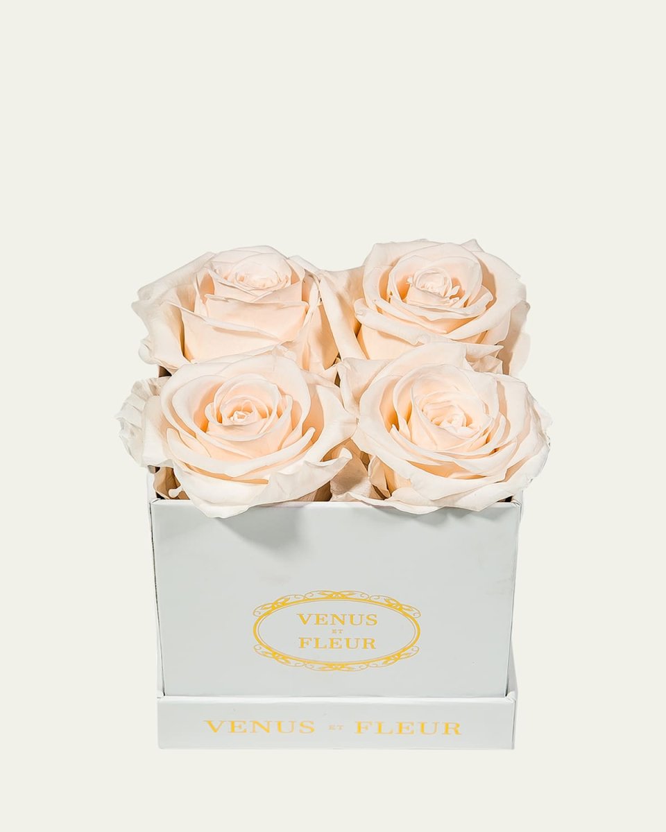 Classic Petite Square Rose Box